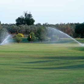 Rainbird vanning 4