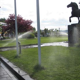 Vanning park